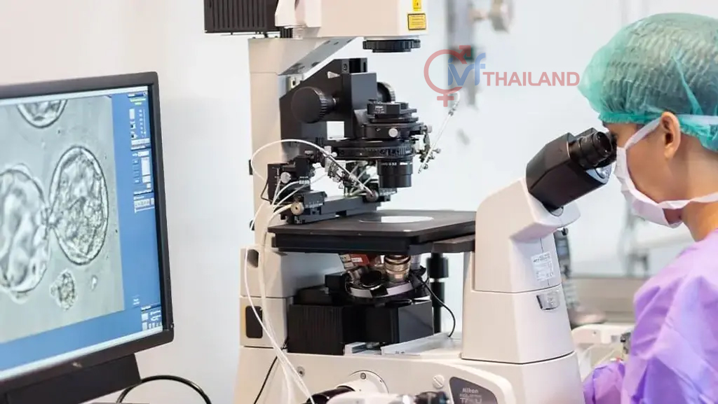 Cung cấp dịch vụ chất lượng