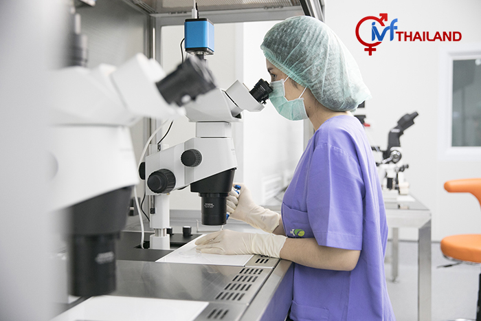 Cung cấp dịch vụ chất lượng