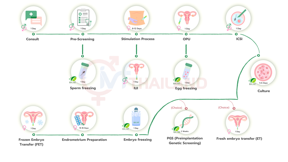 DICH VU IVF THAILAND