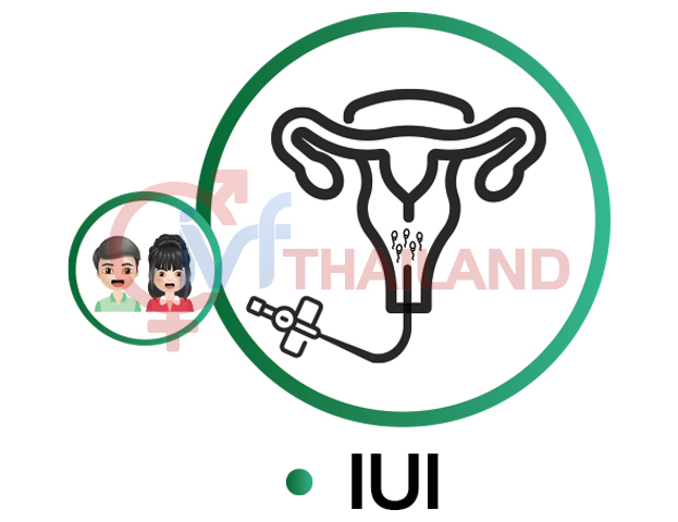 IUI THAILAND