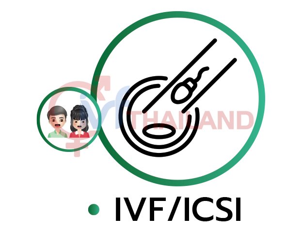 IVF THAILAND