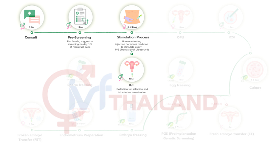 QUY-TRINH-IUI-THAILAND