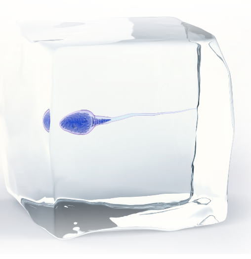 TRU TINH TRUNG TAI THAI LAN