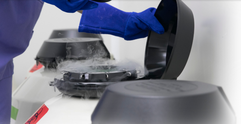 TRỮ TRỨNG TẠI THÁI LAN (Egg Freezing) 3 TRU TRUNG TAI THAI LAN