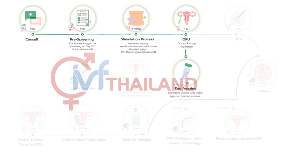 quy trinh tru trung tai thai lan