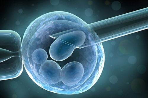 Cùng tìm hiểu quy trình thực hiện IVF tại Thái Lan chuẩn nhất hiện nay 5 Nuôi cấy phôi và chuyển phôi tai thailand