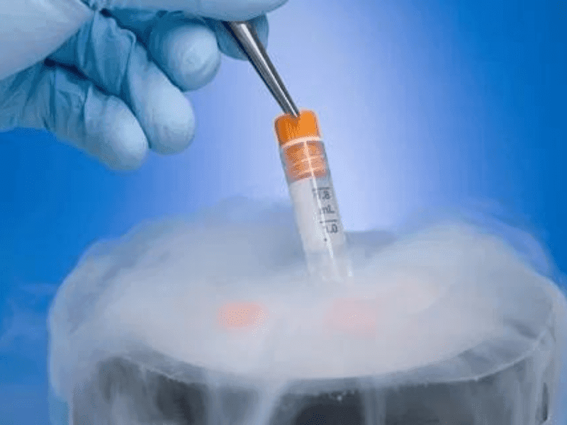 Chi phí trữ trứng tại Thái Lan 2 VÌ SAO NÊN TRỮ TRỨNG?