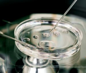 Tìm hiểu phương pháp điều trị IVF tại Bangkok Thái Lan